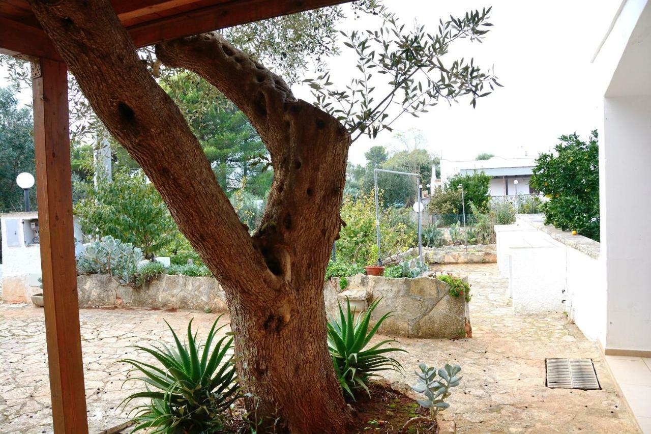 Villa Lilla ออสตูนี ภายนอก รูปภาพ