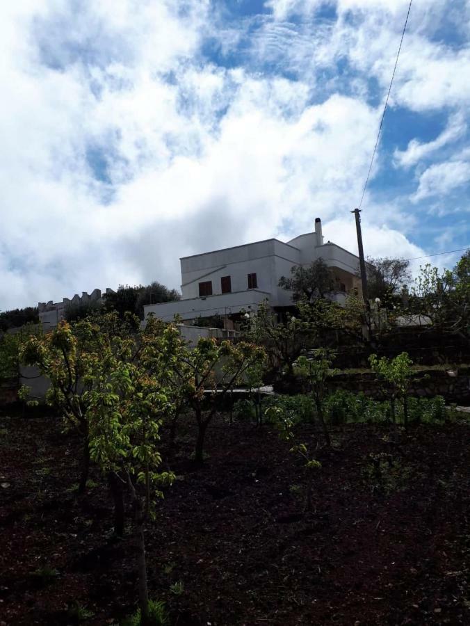 Villa Lilla ออสตูนี ภายนอก รูปภาพ